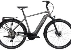 GIANT Deutschland GmbH Giant DailyTour E+ 2 D [RC Dash] GTS 2023