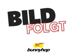 GIANT Deutschland GmbH Giant DailyTour E+ 3 [LDS/RC Dash/500Wh] Good Gray 2023