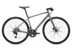 GIANT Deutschland GmbH Giant FastRoad SL 1