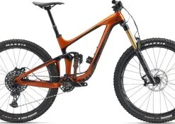 GIANT Deutschland GmbH Giant Reign Advanced Pro 1 [29"]