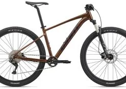 GIANT Deutschland GmbH Giant Talon 1 Hematite 2023