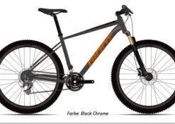 GIANT Deutschland GmbH Giant Talon 3 Black Chrome 2023