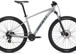 GIANT Deutschland GmbH Giant Talon 3 Good Gray 2023