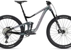 GIANT Deutschland GmbH Giant Trance X 1 Echeveria 2023