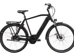 Hercules GmbH Hercules E-Imperial I-F5 625 Wh