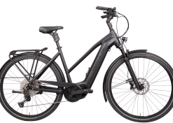 Hercules GmbH Hercules Futura HD I-12 625 Wh