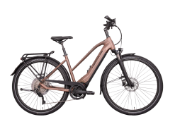 Hercules GmbH Hercules Pasero Sport I-10 750 Wh