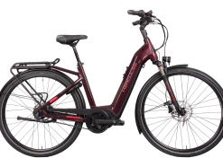 Hercules GmbH Hercules Roberta Pro I-R8 625 Wh