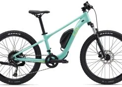 Liv Tempt E+ Jr. 24 2023