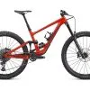 Specialized ENDURO COMP Redwood/Smoke