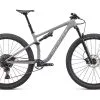 Specialized EPIC EVO Cool Grey/Dove Grey