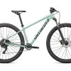 Specialized ROCKHOPPER COMP 29 White Sage/Forest Green