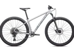 Specialized ROCKHOPPER EXPERT 29 Silver Dust/Black Holographic 2023