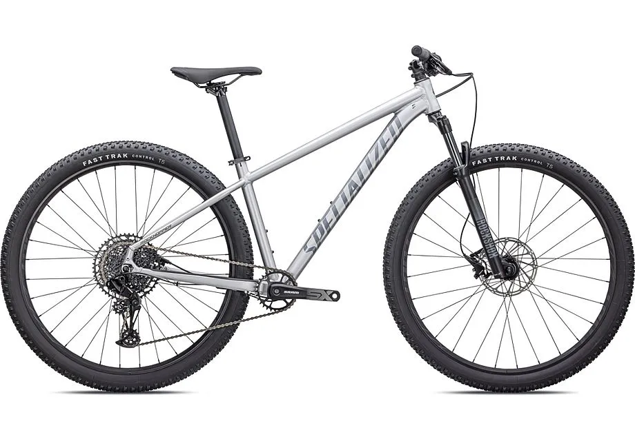 Specialized ROCKHOPPER EXPERT 29 Silver Dust/Black Holographic 2023 1 Specialized ROCKHOPPER EXPERT 29 Silver Dust/Black Holographic 2023